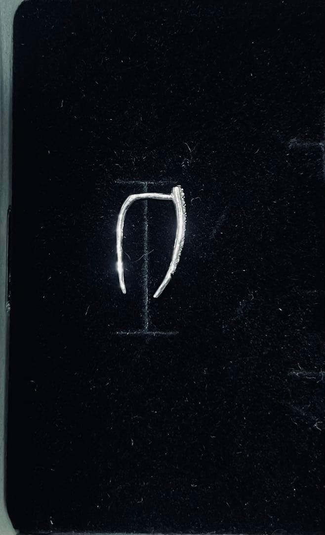 gabriela artigas ガブリエラアルティガス　ピアス