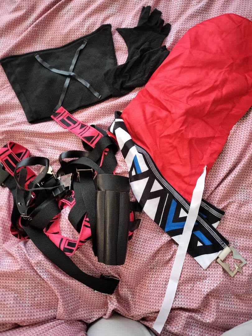 【難アリ】にじさんじ セラフ・ダズルガーデン コスプレ