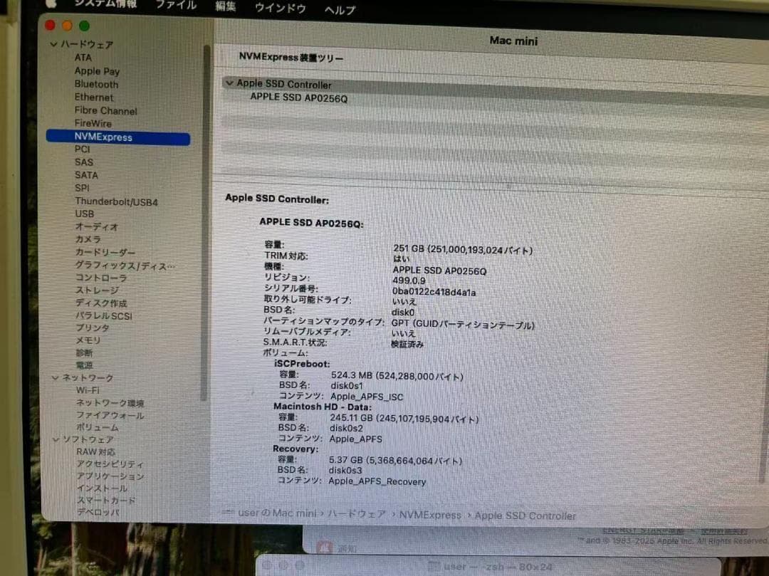 【美品 】Mac mini 2020 M1 16GB 256GB 動作確認済み①