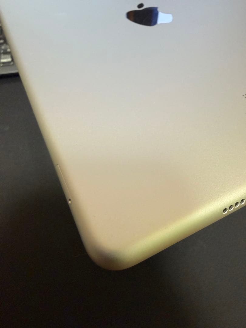 iPadAir3(第3世代)256GB Wi-Fi+Cellular　モヤあり