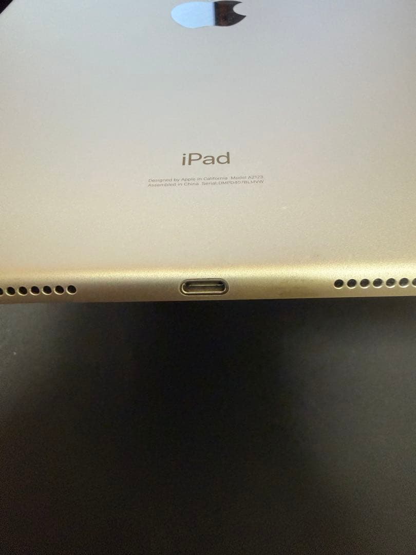 iPadAir3(第3世代)256GB Wi-Fi+Cellular　モヤあり