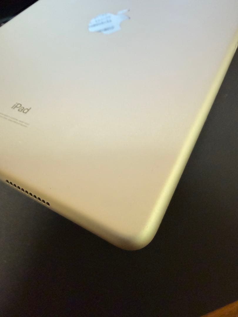 iPadAir3(第3世代)256GB Wi-Fi+Cellular　モヤあり