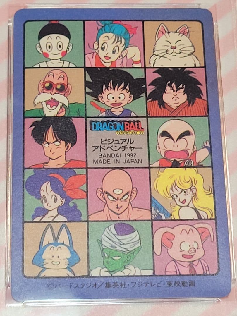【PSA6】ドラゴンボールビジュアルアドベンチャー 169 空の休日