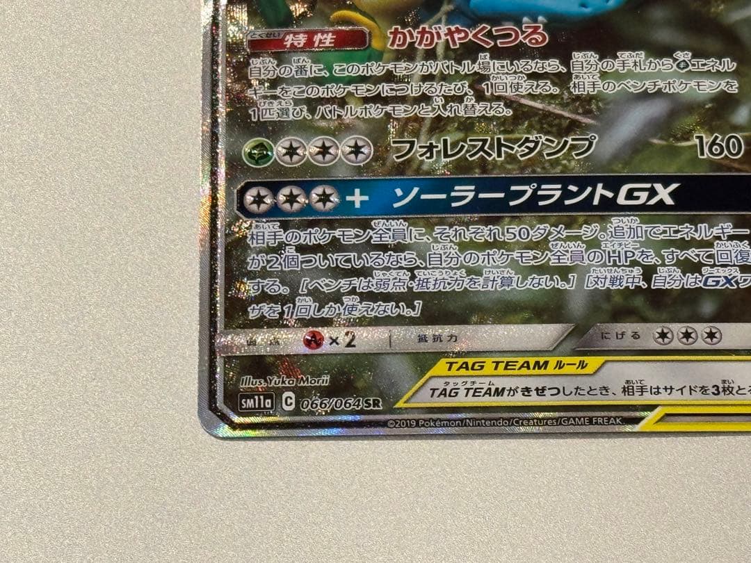 美品 フシギバナ＆ツタージャGX SR SM11a リミックスバウト