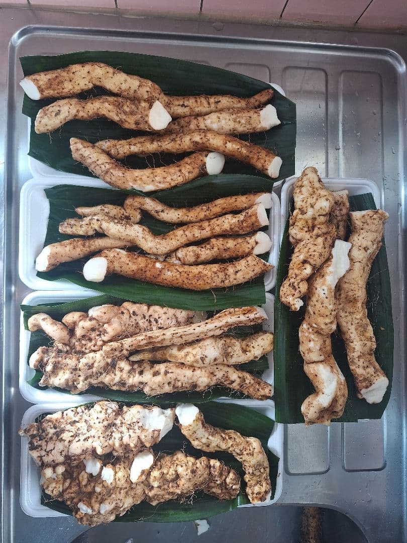 天然自然薯　(折れ)　2・5kg