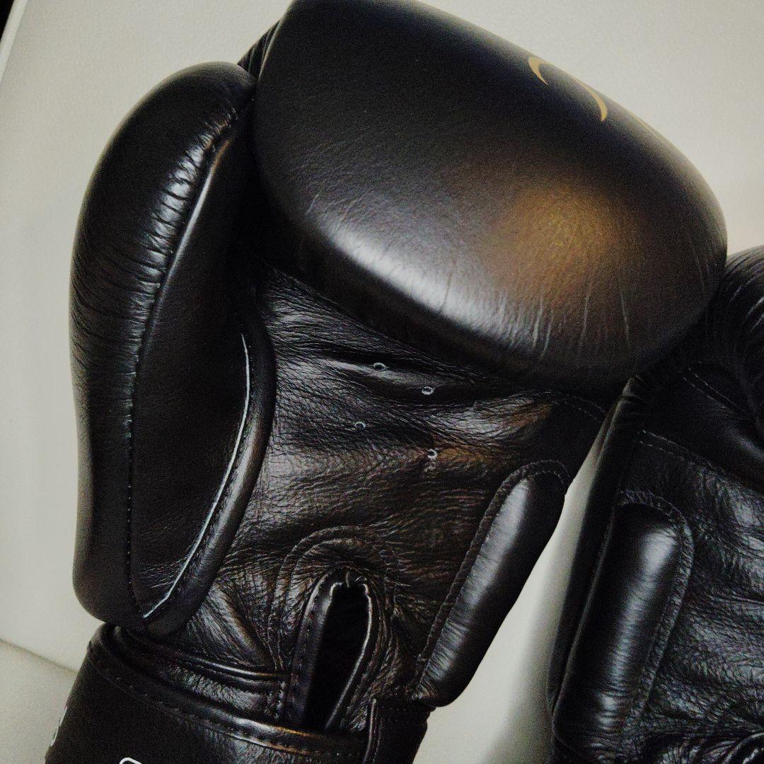TWINS SPECIAL ボクシンググローブ 16oz
