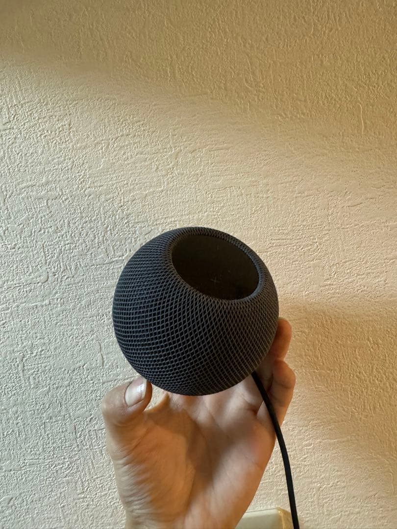 Apple Pod mini 黒 USB-C充電器付き