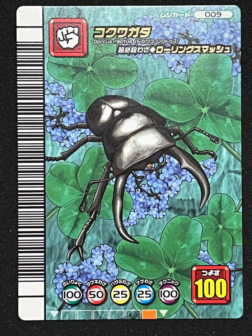 甲虫王者ムシキング　カード