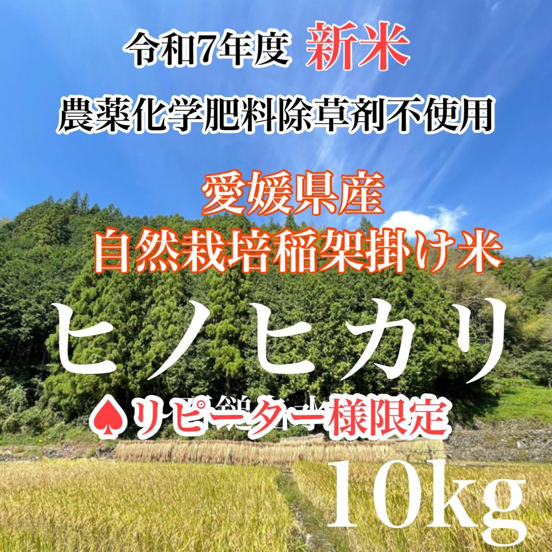♠︎リピーター様限定♠︎ 令和7年度米　愛媛県産ヒノヒカリ稲架掛け米 10kg