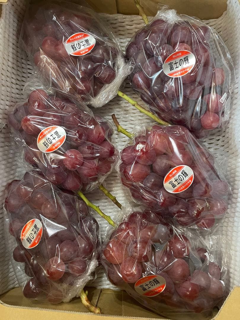 ⑧【岡山県産】富士の輝　約5キロ