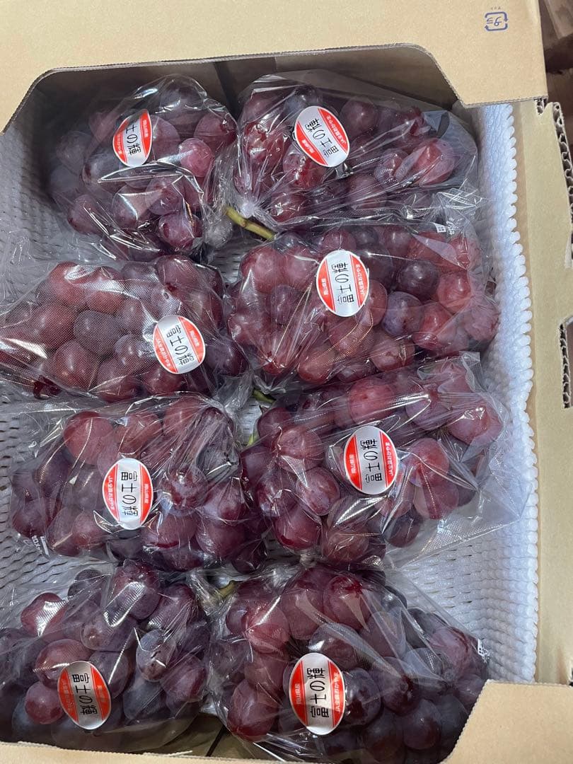 ⑧【岡山県産】富士の輝　約5キロ