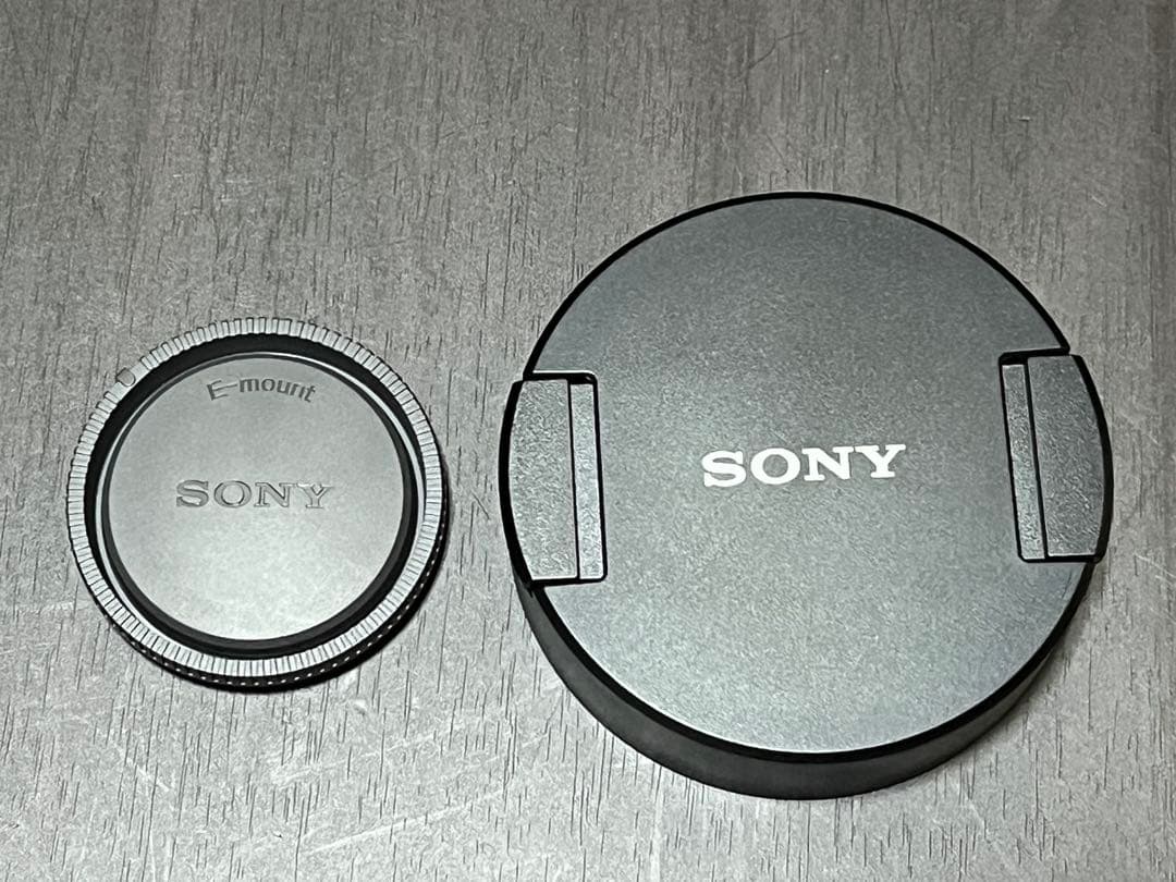 SONY FE 12-24mm F4 G SEL1224G【防湿庫保管】