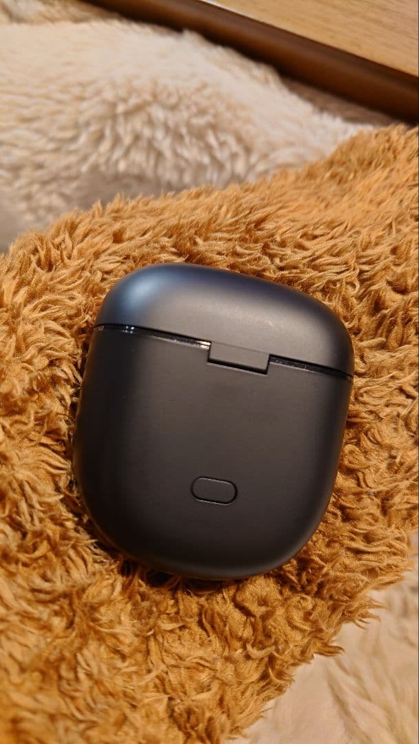 BOSE イヤホン充電ケース ブラック