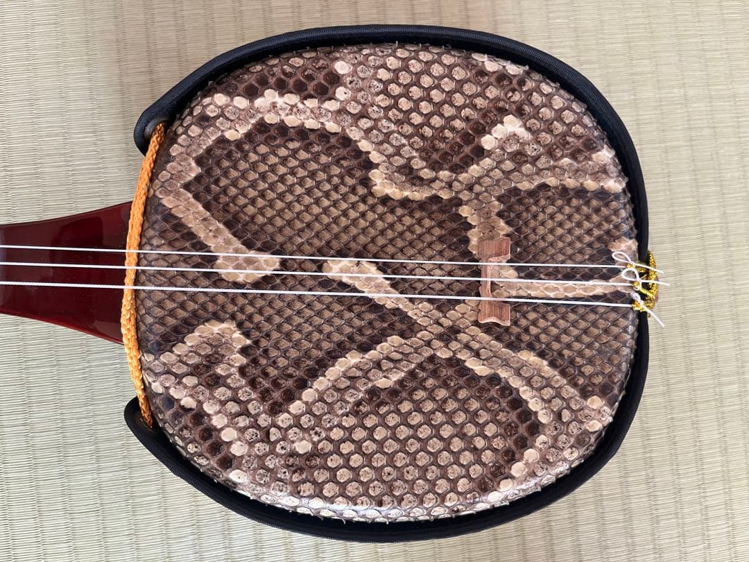 三線本体 ケース ストラップ 爪 予備弦 教本付き