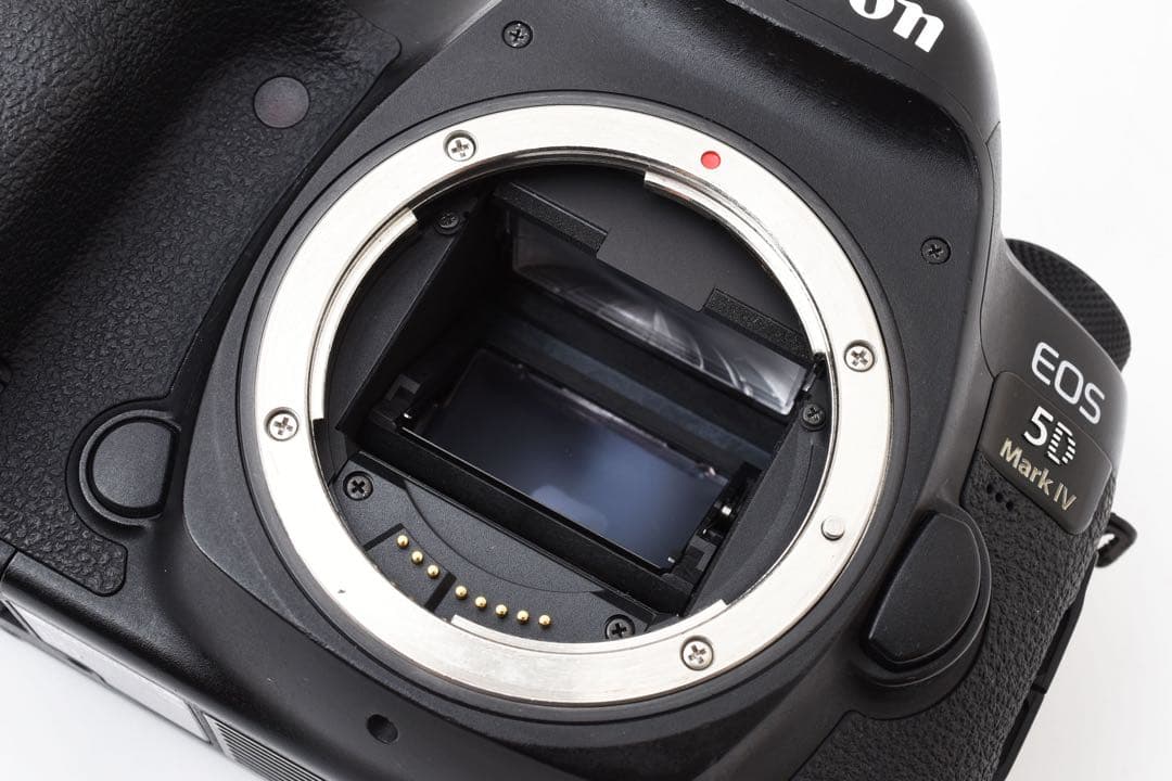 デジタル一眼レフCanon EOS 5D MARK IV標準&望遠レンズセット