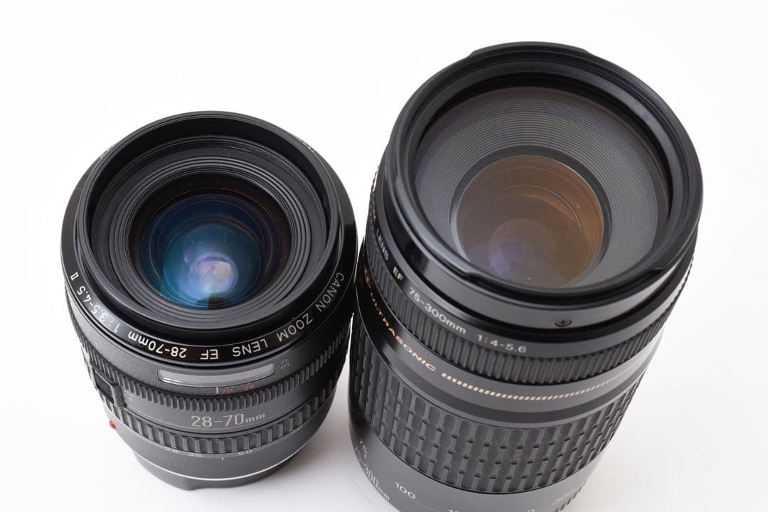 デジタル一眼レフCanon EOS 5D MARK IV標準&望遠レンズセット