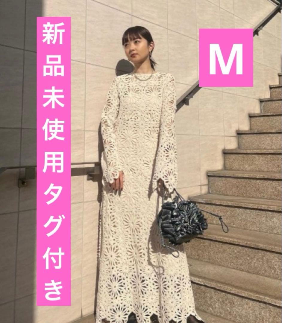 アメリAmeri MEDI FLOWER SAINT LACE DRESS 37