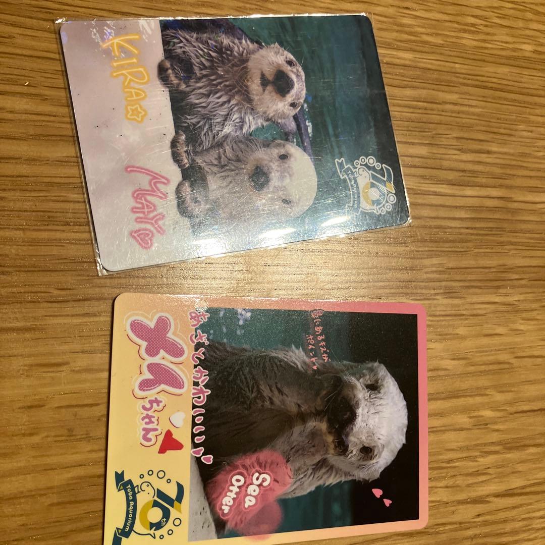 鳥羽水族館コレクションカード2枚