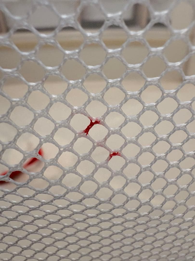 ココネルエアープラス シュークリーム アップリカ