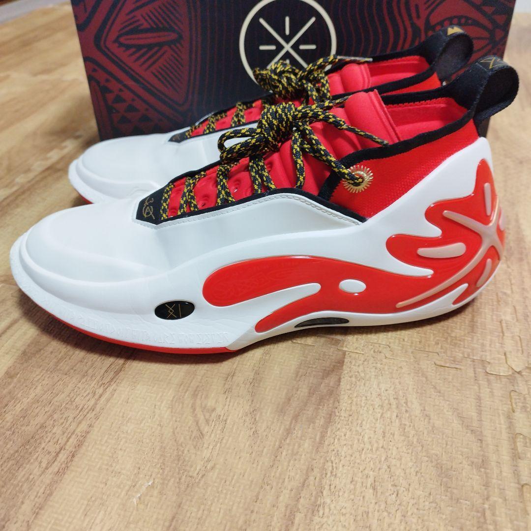 h*e様 Li-NING Way of Wade 11 US10.5 自宅にて試