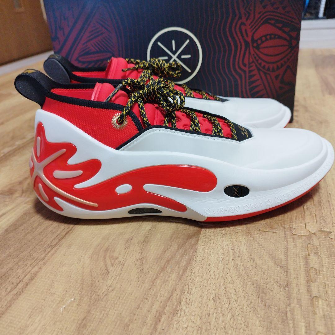 h*e様 Li-NING Way of Wade 11 US10.5 自宅にて試