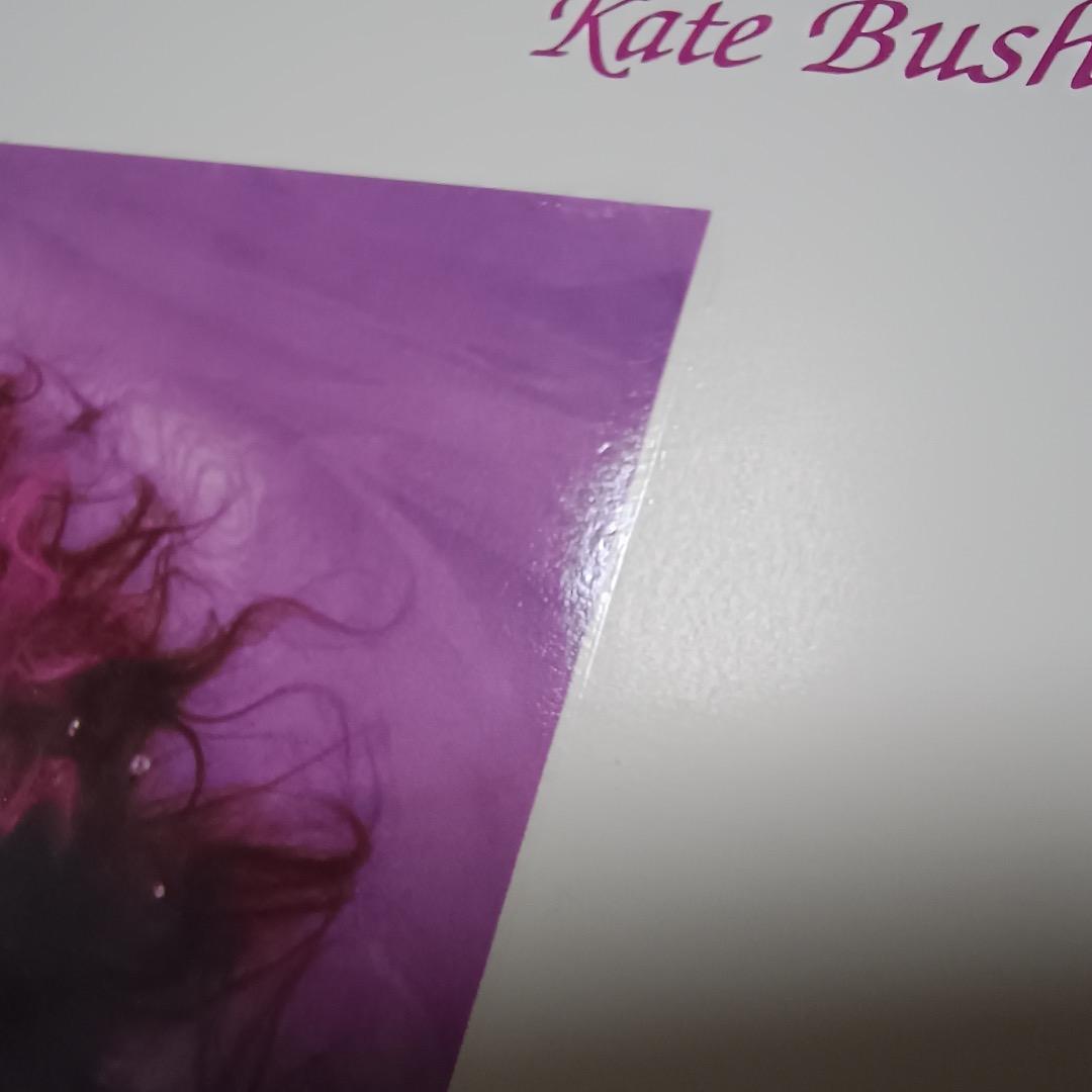 hounds of love(UK盤マト１チラシ入り）/kate bush