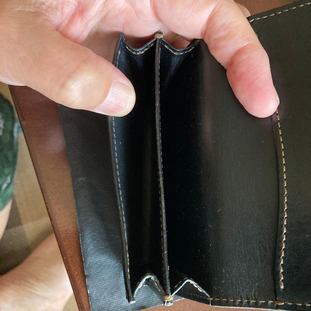 ワイルドスワンズ　サージ