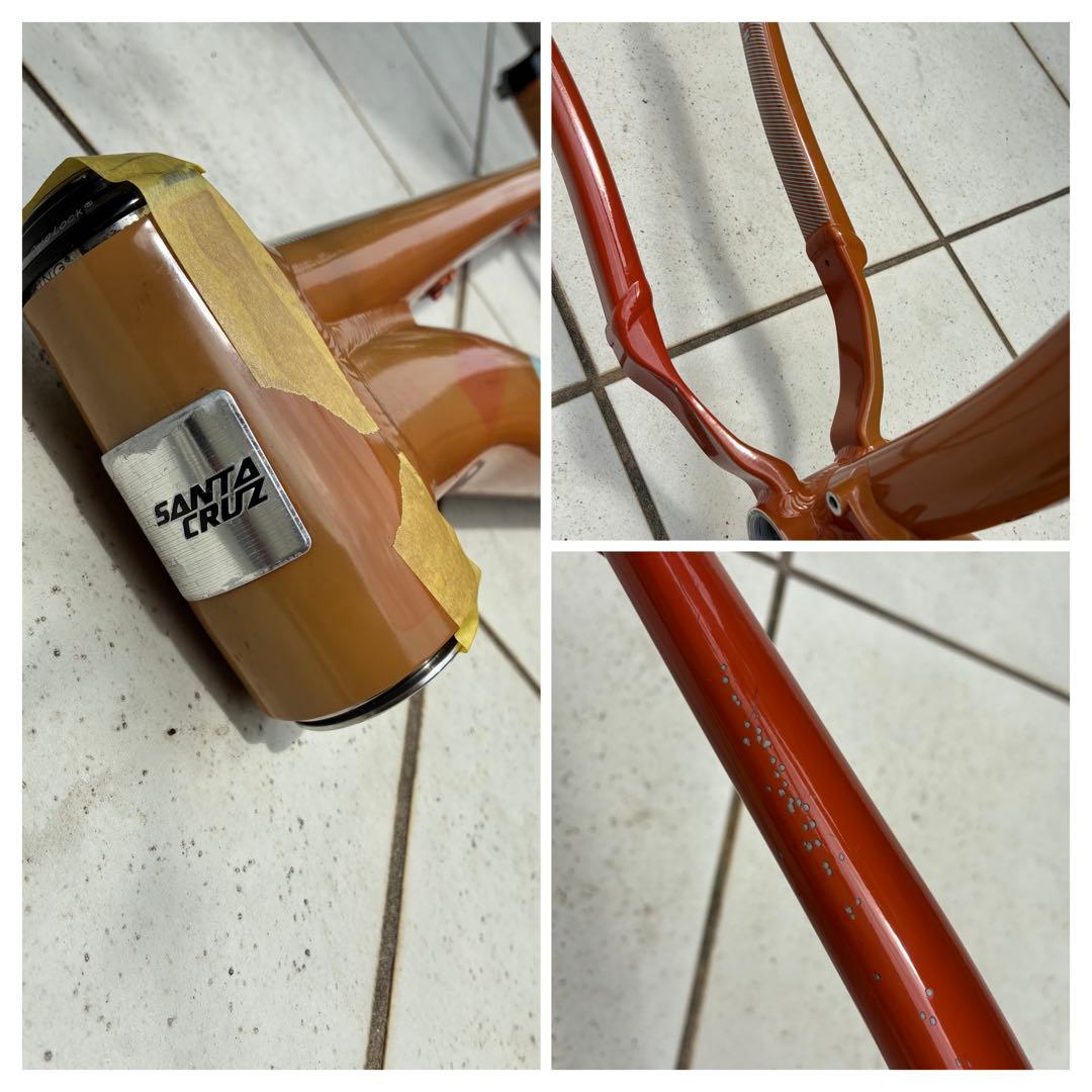 santacruz サンタクルズ chameleon カメレオン Mサイズ