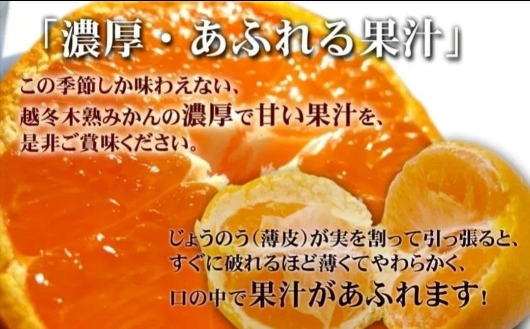 極上品質 愛媛産 味ピカ一【小太郎 越冬 みかん】30個入り 専用化粧箱