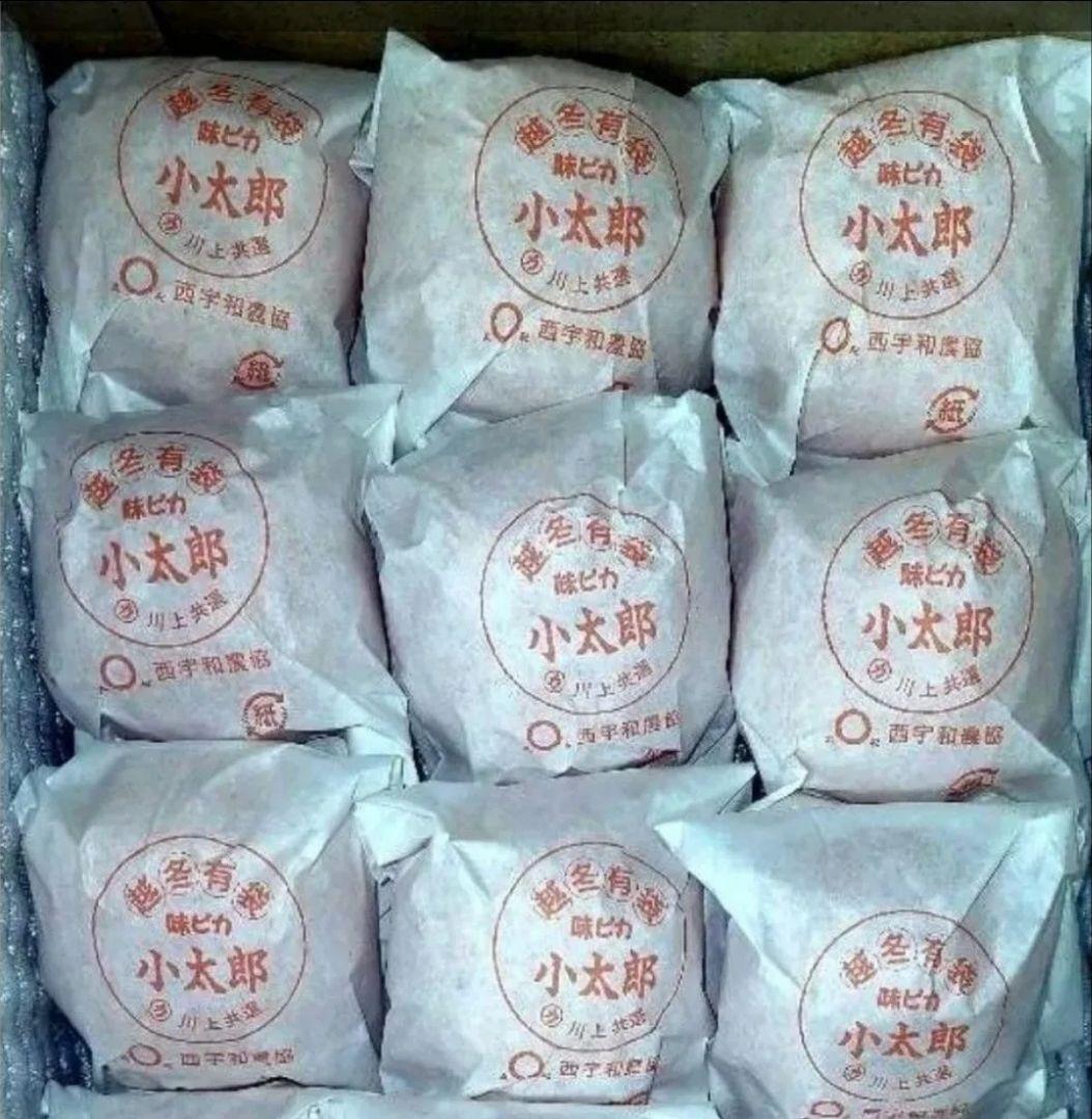 極上品質 愛媛産 味ピカ一【小太郎 越冬 みかん】30個入り 専用化粧箱