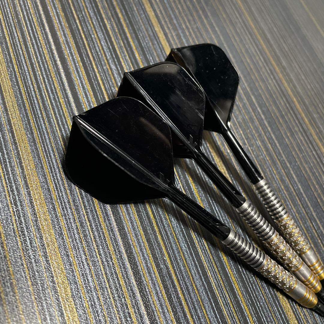 リカルドα ソフトダーツ 浅田斉吾 プロ 美品 箱無し