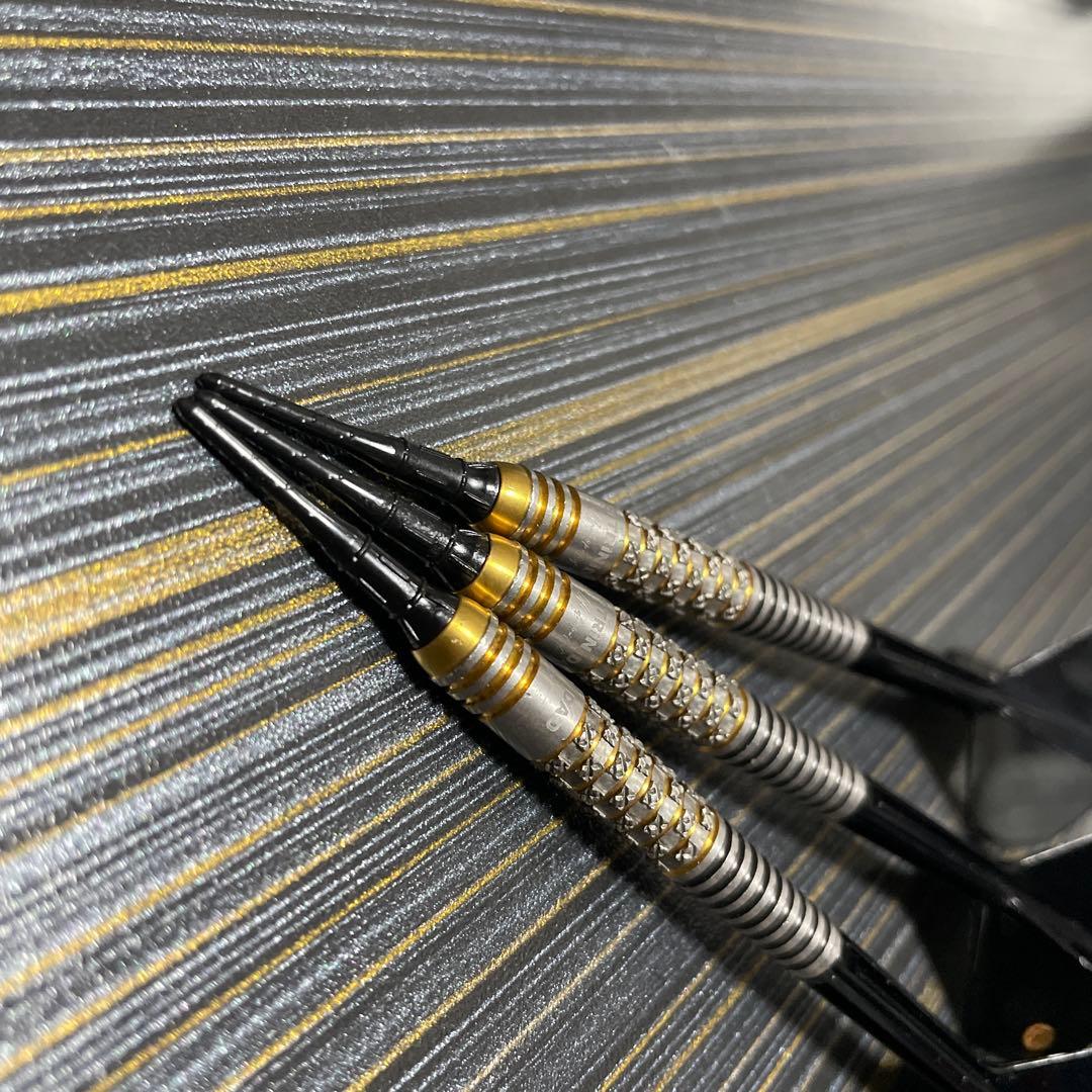 リカルドα ソフトダーツ 浅田斉吾 プロ 美品 箱無し