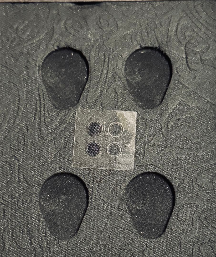 VISION EARS Erlkönig erlkonig エルケーニッヒ 魔王