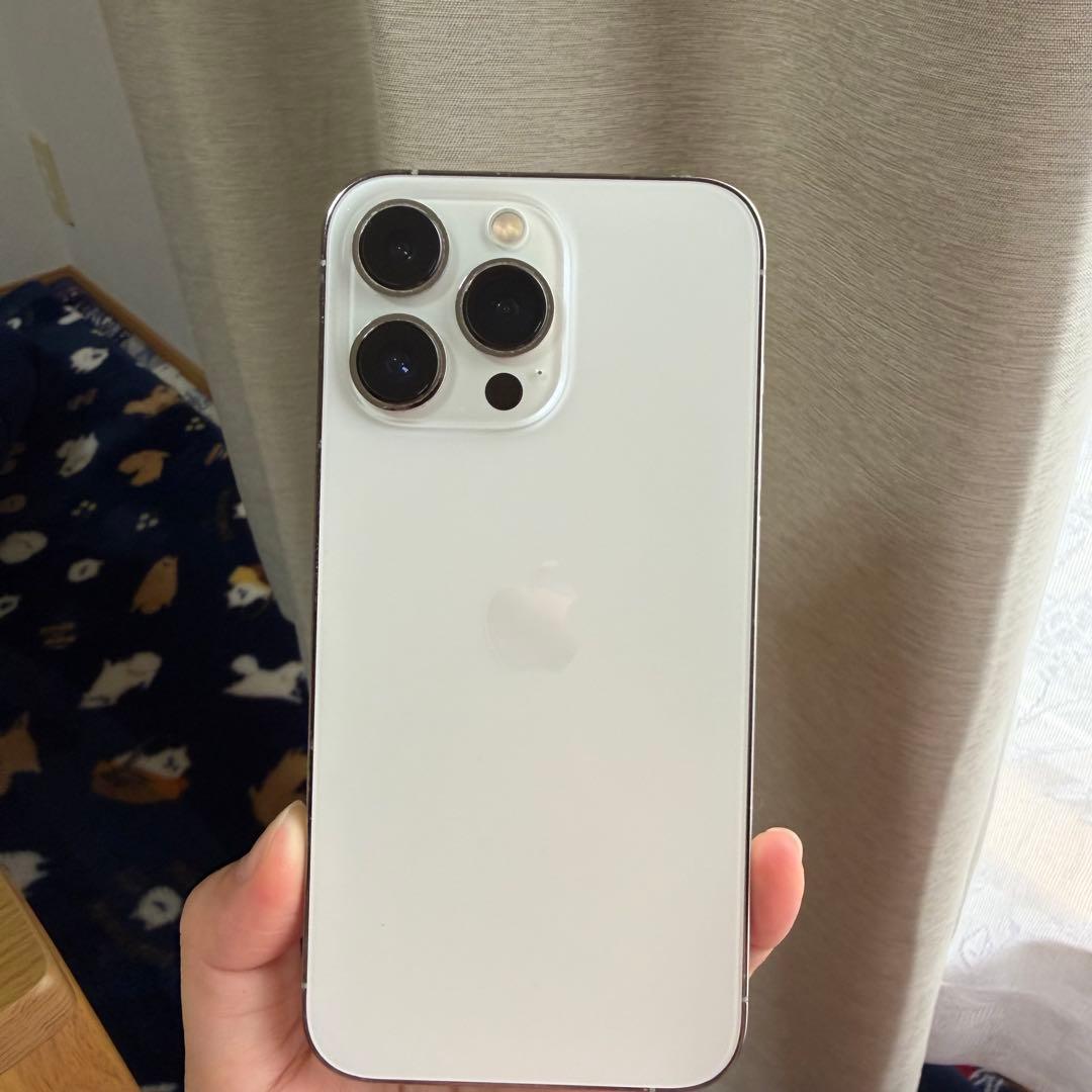 【美品】iPhone13Pro本体 1TB シルバーSIMフリー