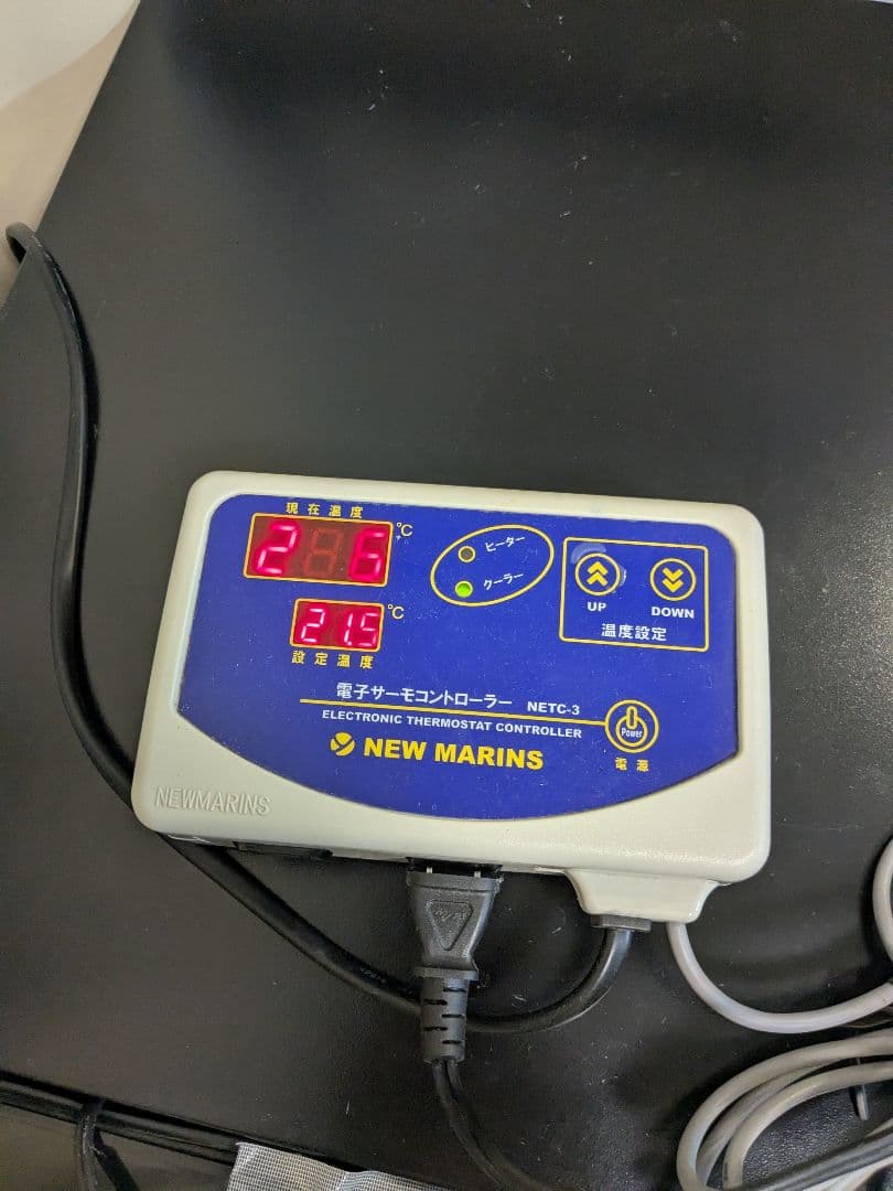 ☆ワインセラー☆クワガタ カブトムシ 電子サーモ 菌糸ビン 幼虫飼育 ブリード