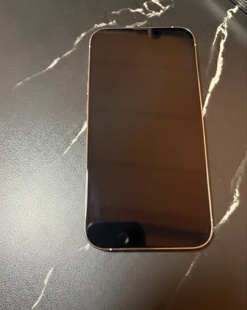 【付属品あり】Apple iPhone 13 Pro シルバー 本体