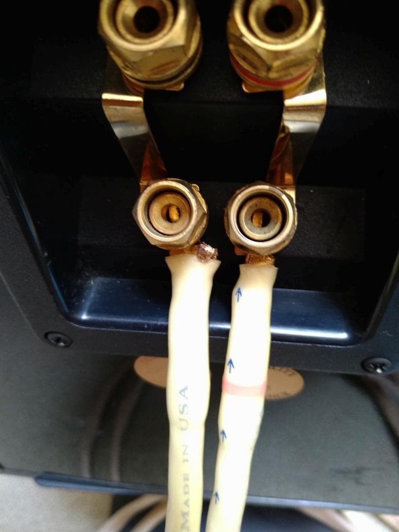 Tara Labs RSC 　Gen2　スピーカーケーブル