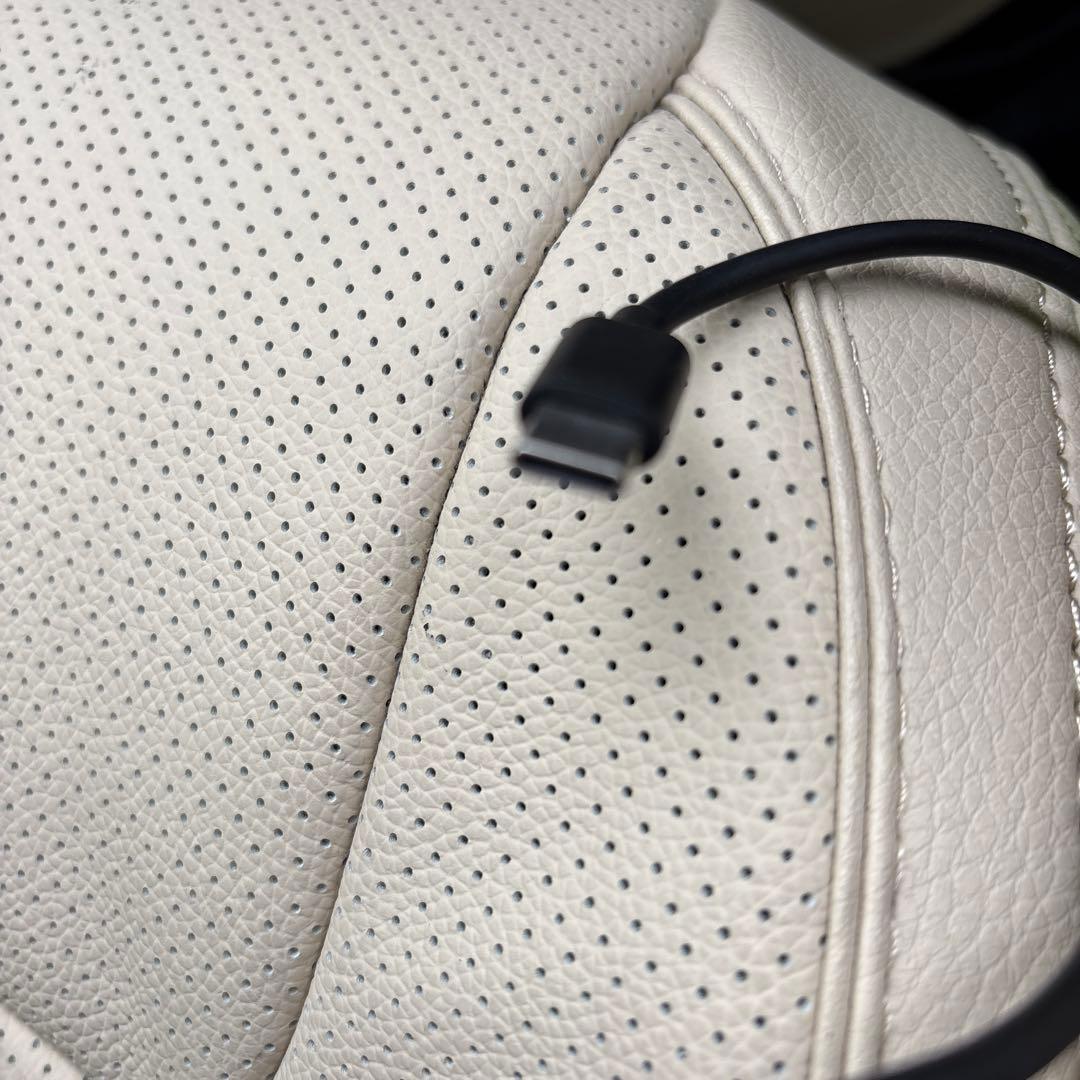 オットキャストPICASOU 2 Pro PCS35