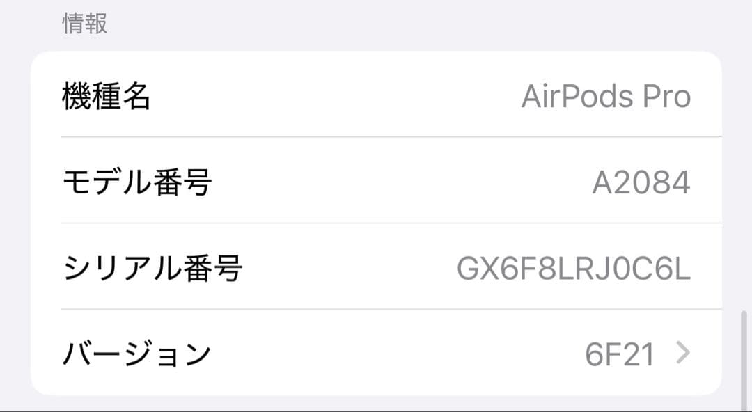 Airports pro 第2世代　本体+イヤフォン+ケース Apple