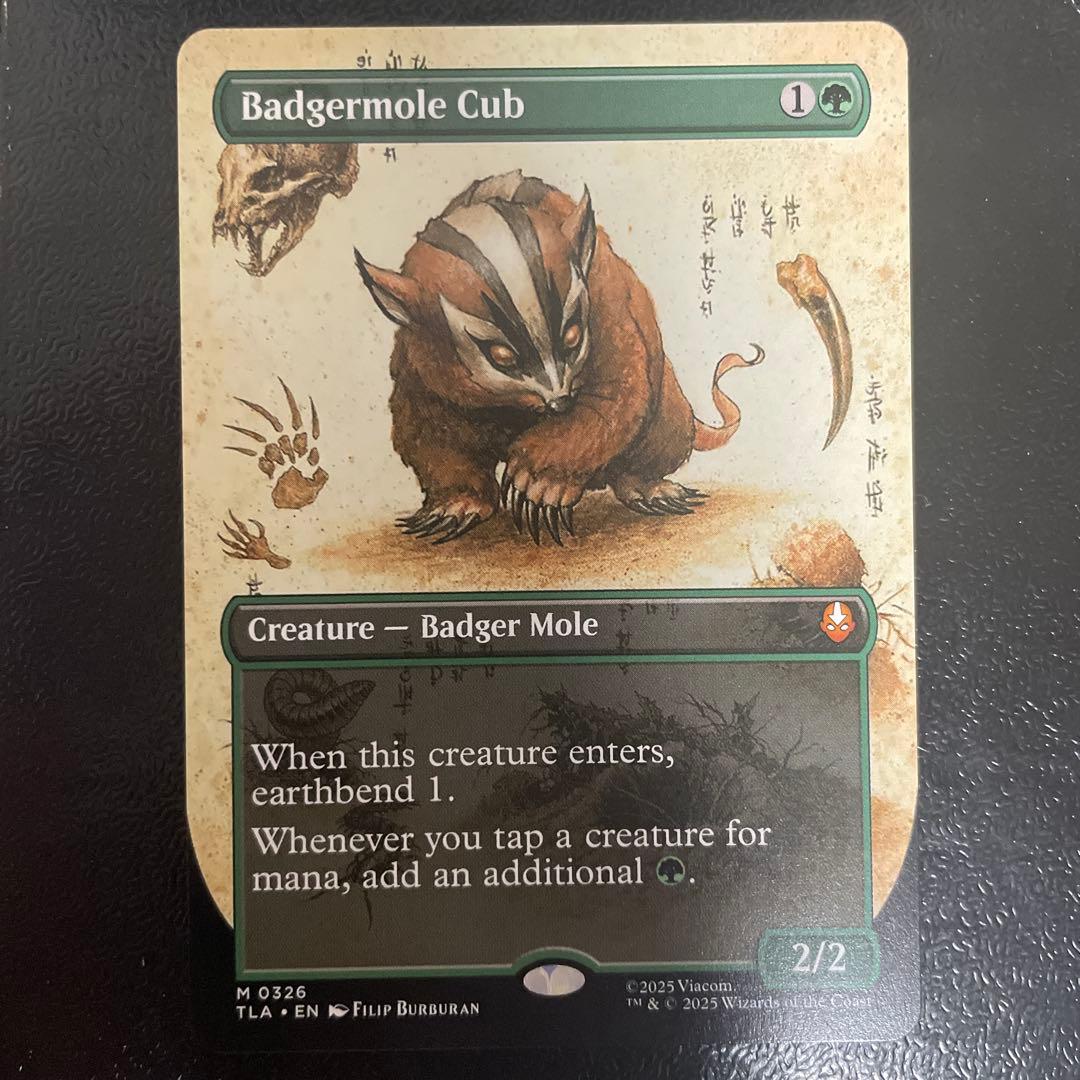 アナグマモグラの仔 英語 絵違い 1枚