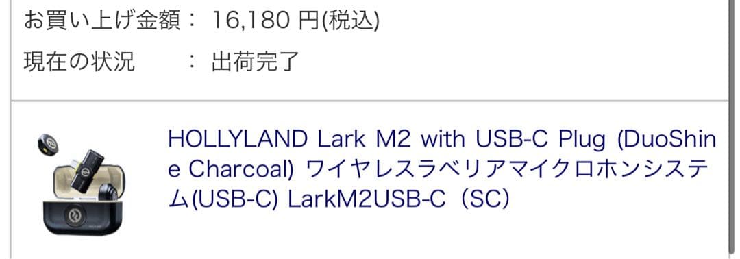 イヤホン HOLLYLAND Lark M2 with USB-C