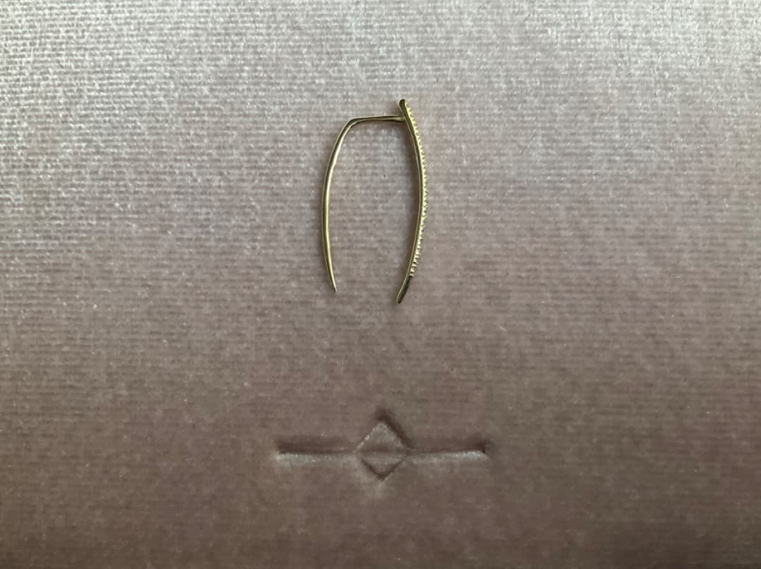 GABRIELA ARTIGAS/ PAVE INFINITE TUSKピアス