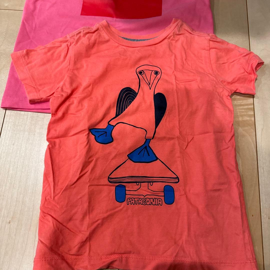 Patagonia & The North Face 7点セット