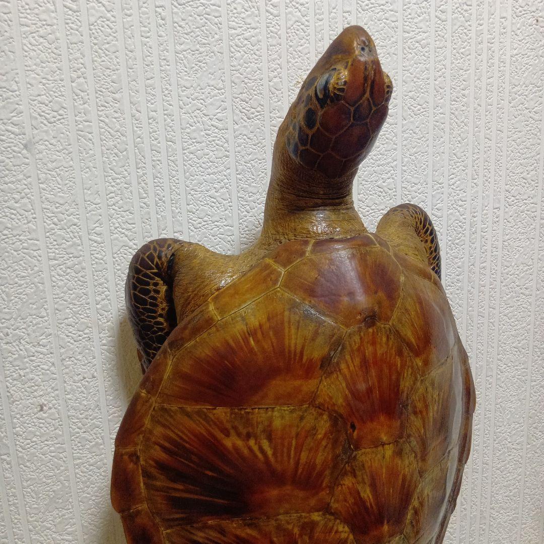 リアルな亀の置物 約60cm