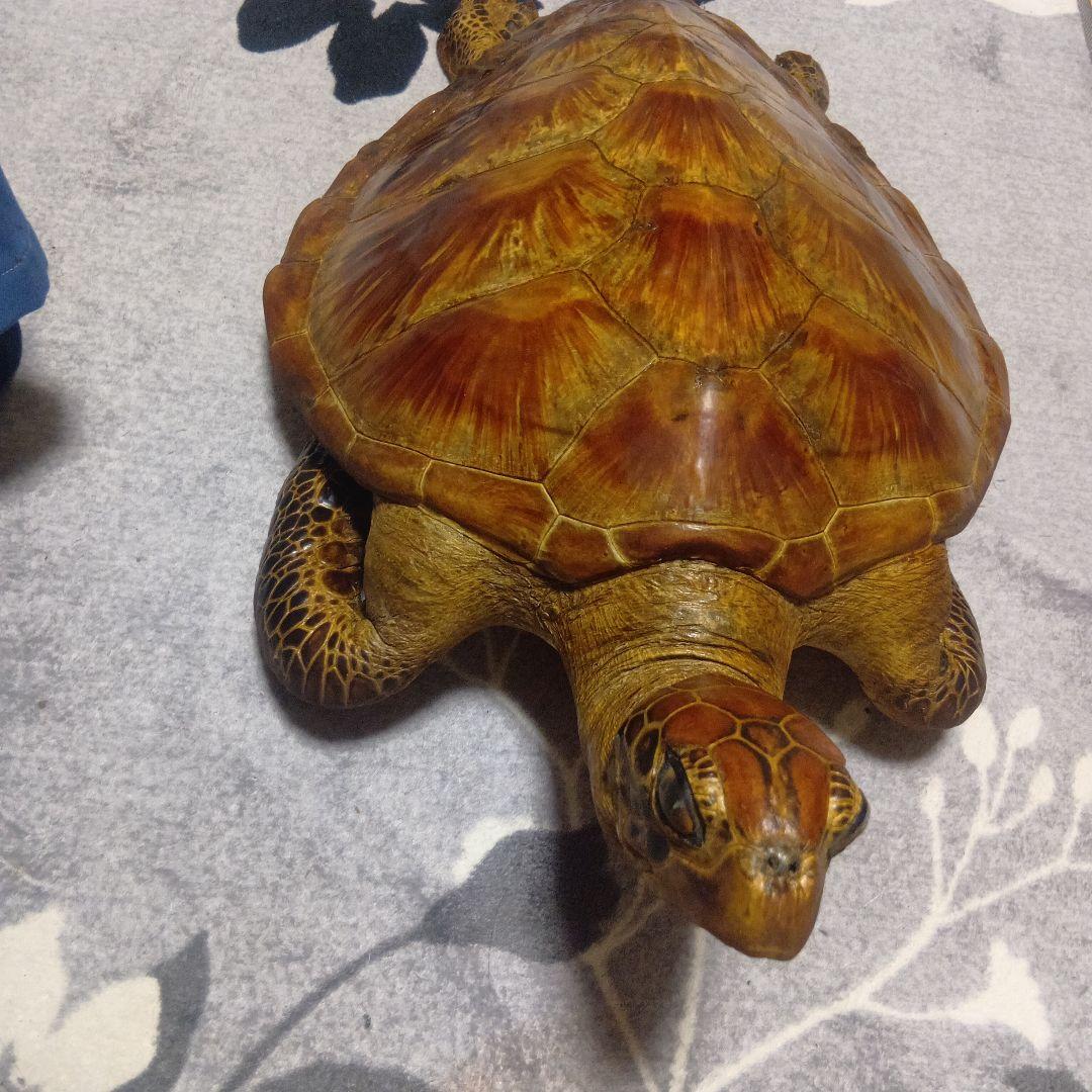 リアルな亀の置物 約60cm
