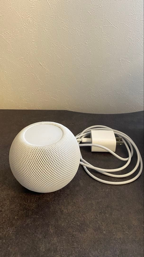 【即購入可】Podmini ホワイト　保護シール付き