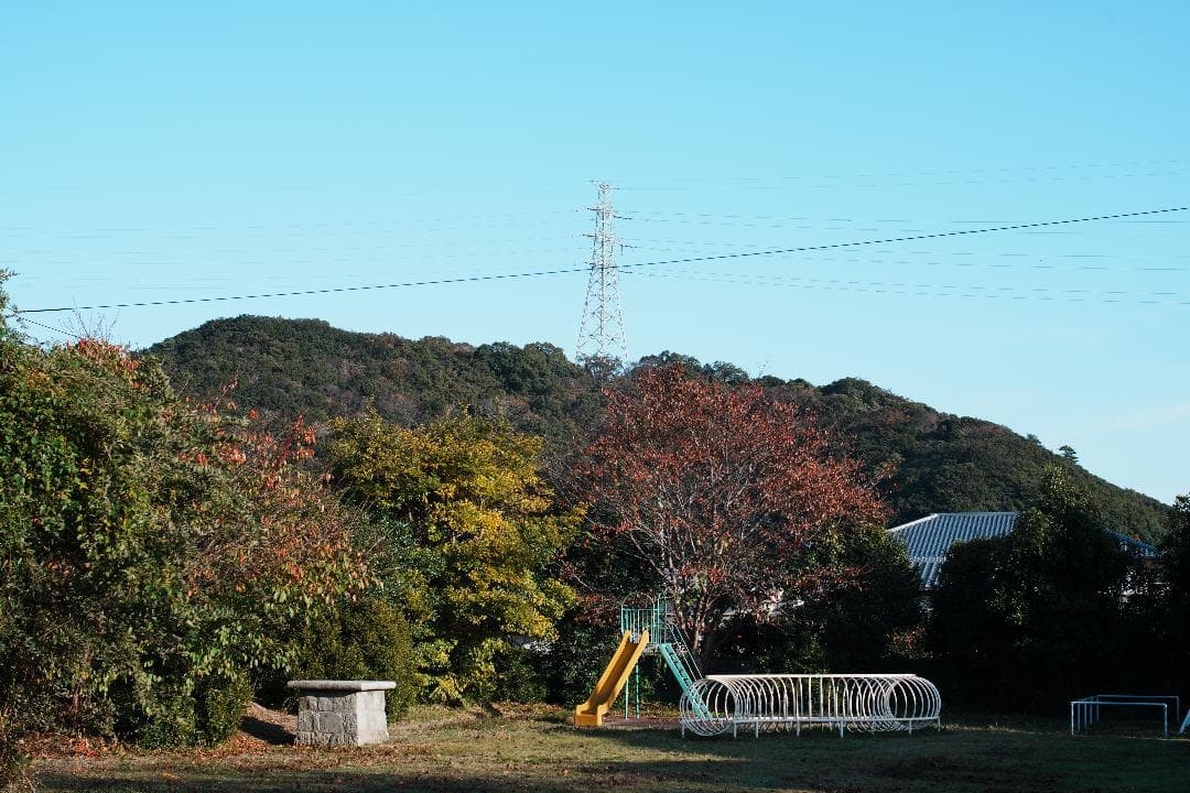 【希少・極美品】Canon New 50mm F1.2 L キャノン 737