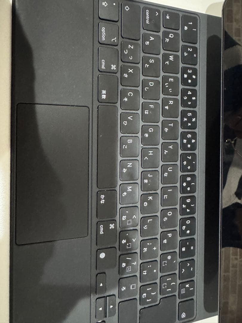 iPad Pro (12.9インチ) 第世代 128GB