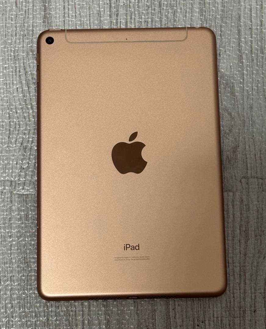 【美品】 iPad mini5 第5世代 64GB WiFi 割れ無し 本体のみ