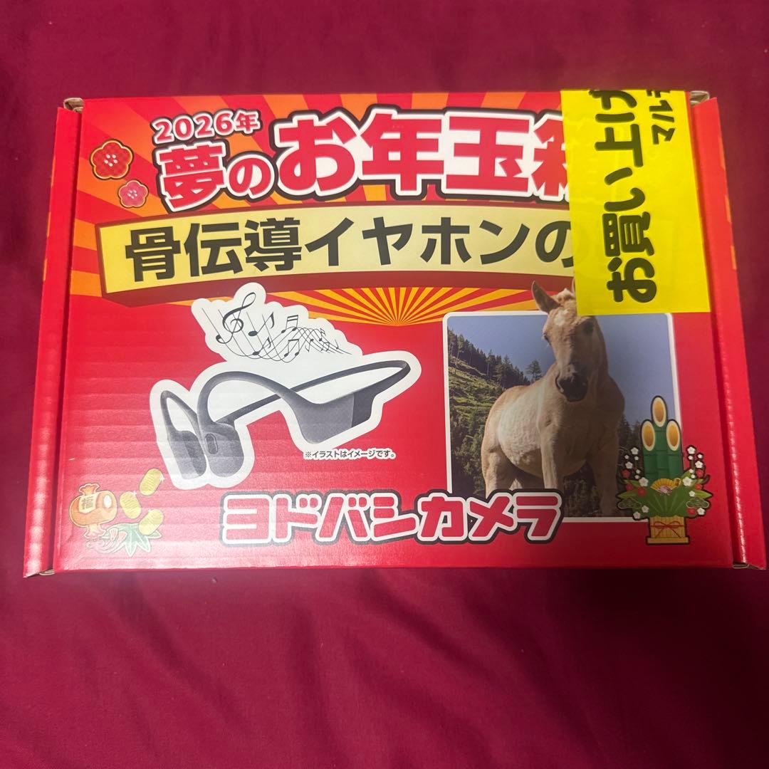 SHOKZ OPEN SWIM PRO 骨伝導イヤホン ヨドバシ 夢のお年玉箱